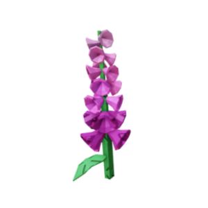 Foxglove