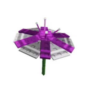 Parasol Flower